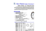 BR303L Industrial Gauge spec sheet (PDF 401 KB)