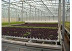 Agrotech - Salad Line Systems (Table or Floating)