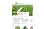 ESA_16.0121 Vegetables Factsheet- Brochure