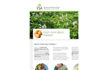 ESA_16.0120 Potatoes Factsheet - Brochure