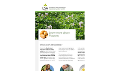 ESA_16.0120 Potatoes Factsheet - Brochure