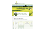 ESA_16.0119 Oil & Fibre Crops Factsheet- Brochure