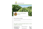 ESA_16.0118 Maize Factsheet Brochure