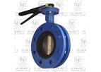 Pioneer - Model D41X - Flanged Butterfly Valve