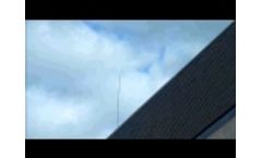 Hawk Kite, Bird Control Office Block - Video