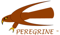 Peregrine Hawk Kites - Bird Control Systems Ltd.