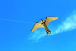 Hawk Pro - 6.25 Alum Peregrine Kite