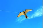 Hawk - Double Strength Line 6.25 Alum Peregrine Kite