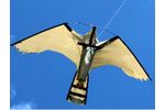 Hawk - Model 217537123517253 - Replacement Peregrine Kite