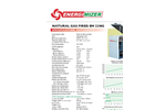 Energimizer - Model CHP EM 22NG - Energimizer Natural Gas Fired - Brochure