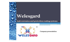 Welesgard Company Presentations