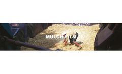 Mulch Films