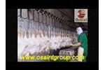 Chicken Slaughtering Machines from Shandong Osaint Group Video