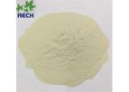 Rech Chemical - Animal Fodder Additive Ferrous Sulfate Monohydrate