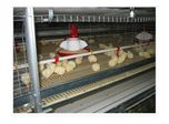 Broiler Cage / Floor