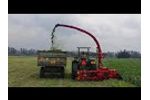 Forage DMR 1250 Row Independent Maize Forage Chopper / Forage Operation - Video