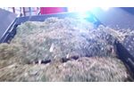 Maize Corn Silage Beet Pulp Tmr DMR Compact Silage Loading - Video