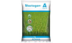 Blastogan - Systemic Fungicide