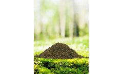 Protix - Natural Sustainable Insect Fertiliser