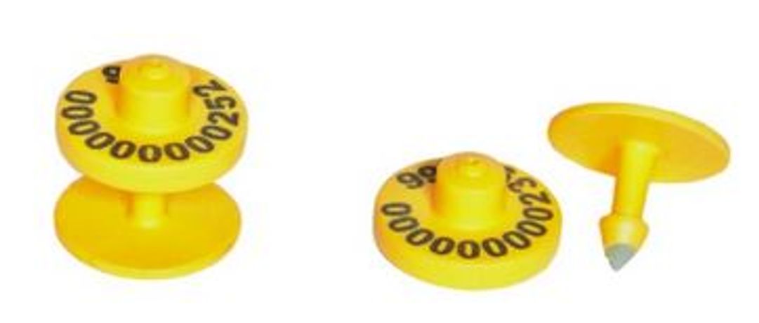 Hastag - RFID Bovine Eartags