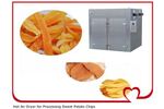 Hot Air Dryer for Sweet Potatoes Processing Plant - Agriculture