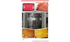 How to Make Fruit Leather by Tray Drying Oven