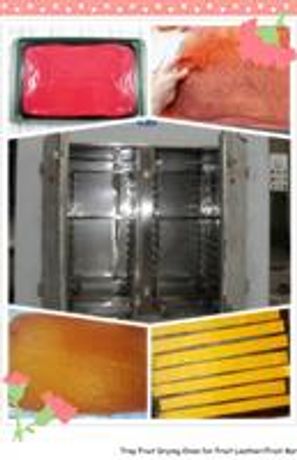 How to Make Fruit Leather by Tray Drying Oven - Agriculture