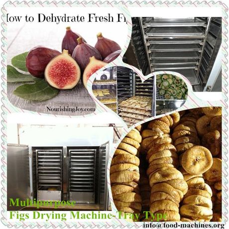 AZEUS - Multifunctional Figs Drying Machine-Tray Type, hot air circulation, electric