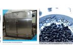 AZEUS - Hot Air Circulation Blueberry Dryer
