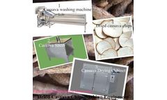 AZEUS - Supply Dried Cassava Chips Making Equipment