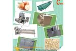 AZEUS - Supply Dehydrated Onion Production Equipment