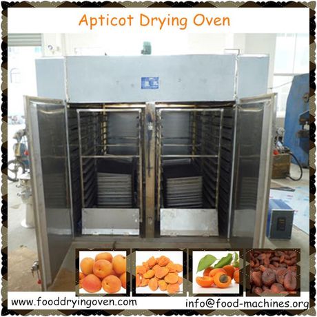 AZEUS - Apricot Dryer Machine
