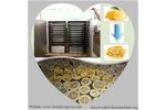 AZEUS - Hot Air Circulation Lemon Drying Machine