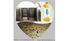 AZEUS - Hot Air Circulation Lemon Drying Machine