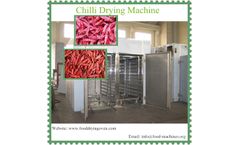 AZEUS - Stainless Steel Chili Dryer Machine