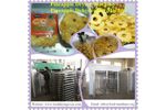 AZEUS - Hot Air Pineapple Drying Machine