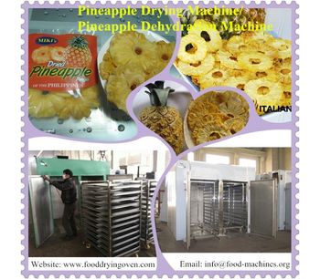 AZEUS - Hot Air Pineapple Drying Machine