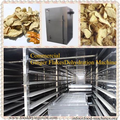 AZEUS - Commercial Ginger Dehydration Machine