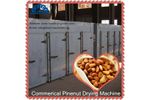 AZEUS - Wholesale Pine Nuts Drying Machine