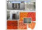 AZEUS - Carrot Drying Oven-Tray Type, Hot Air Circulation