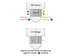 The Basics Of Oxidation-Reduction Potential (ORP)