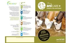aniCARE+ - Probiotic Feed Supplement - Brochure