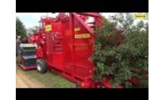 FELIX-Z -sour cherry harvester - Video