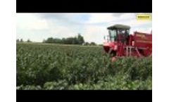 Victor Premium 4x4 - Currant, Aronia Berry Harvester - Video