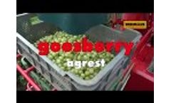 The Best Machines for Berries - Video