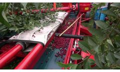 Sour Cherry Harvester - Video