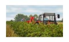 Mechanical Harvest of Berries in the Past and Present