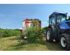Blueberry Harvest - Videorelation From a Blueberry Plantation