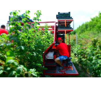 Raspberry and Blueberry Harvester-2