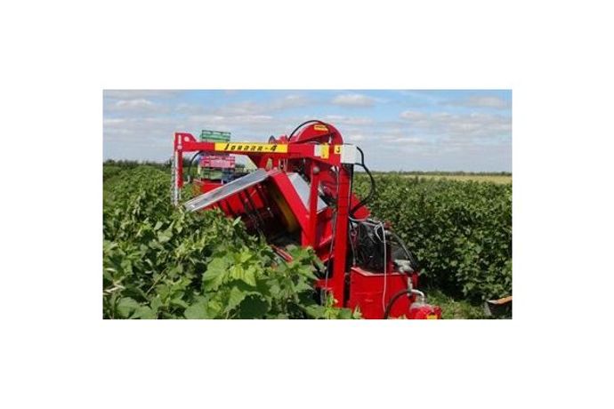 Half-Row Currant and Berry Harvester-1